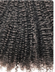 DNA-  Natural koily Curly (4A-4B)
